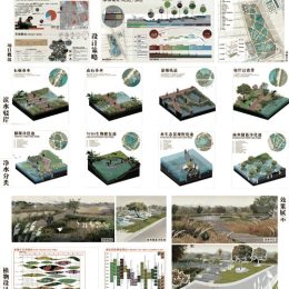 顺德桃村水生态景观概念设计